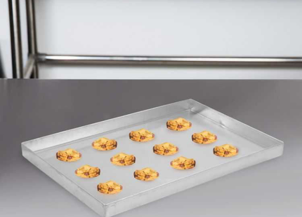 RAJ ALUM TRAY 60X40
