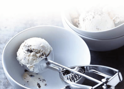 RAJ SPRING ICE CREAM SCOOP